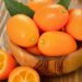 kumquat corfu