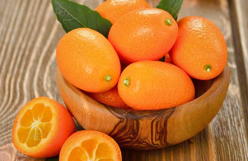 kumquat corfu