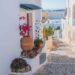 vacation houses in santorini