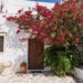 vacation houses Naxos