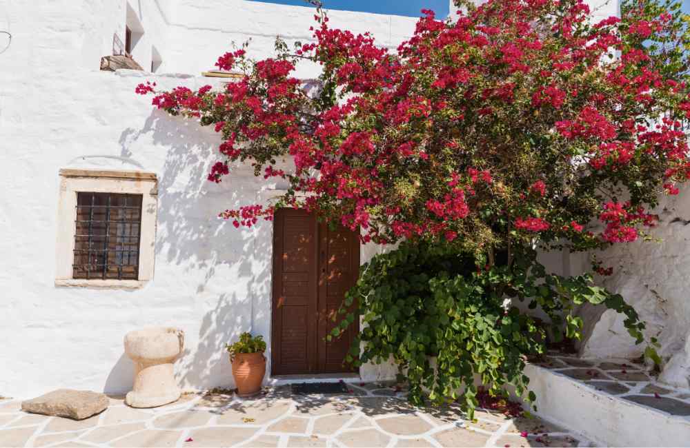 vacation houses Naxos