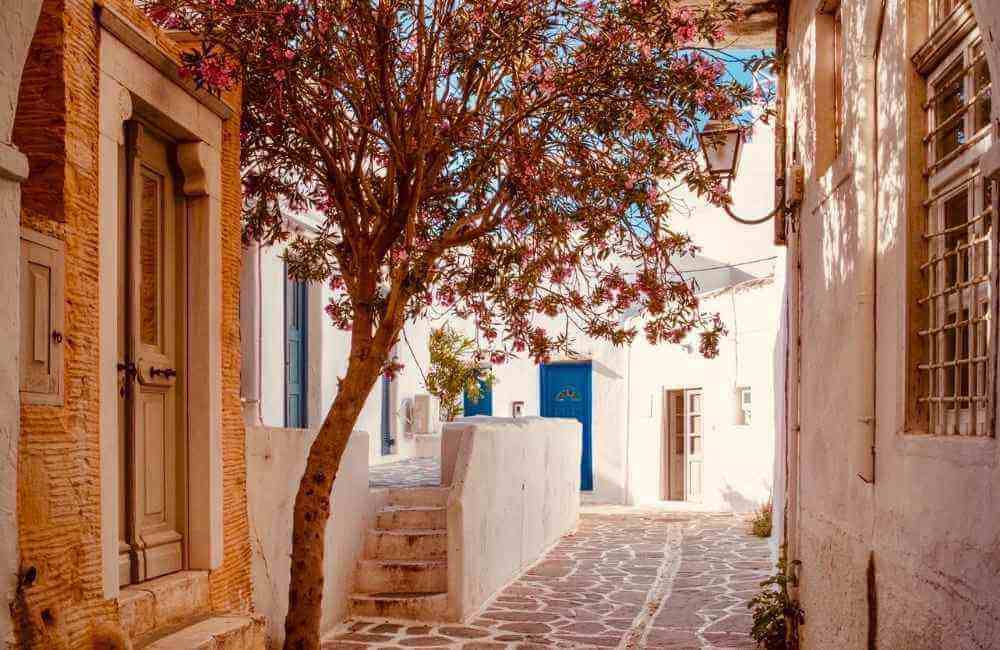 things to do in sifnos