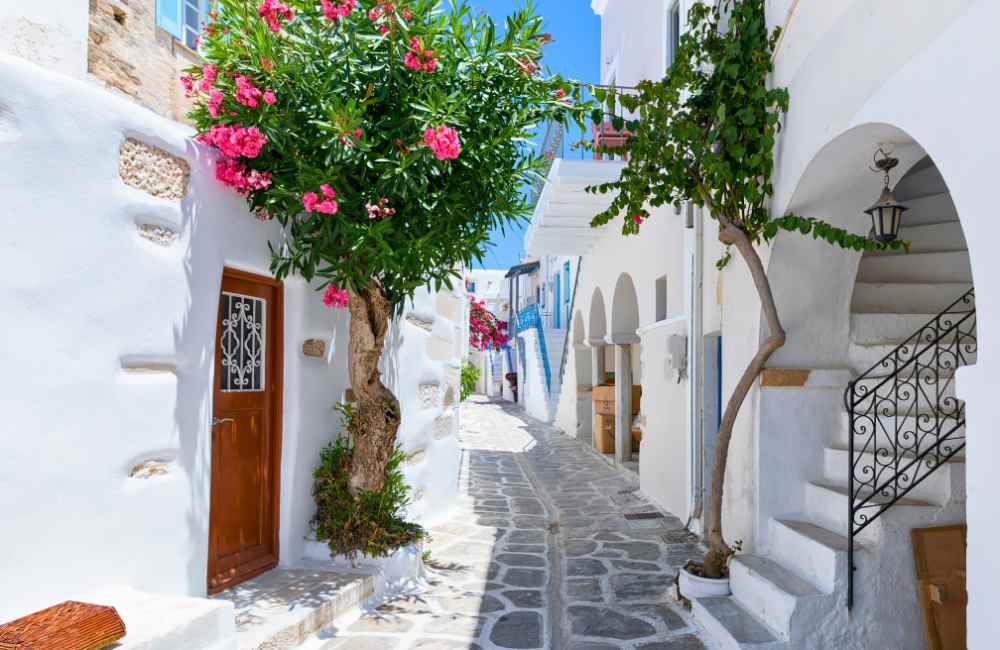 paros with kids