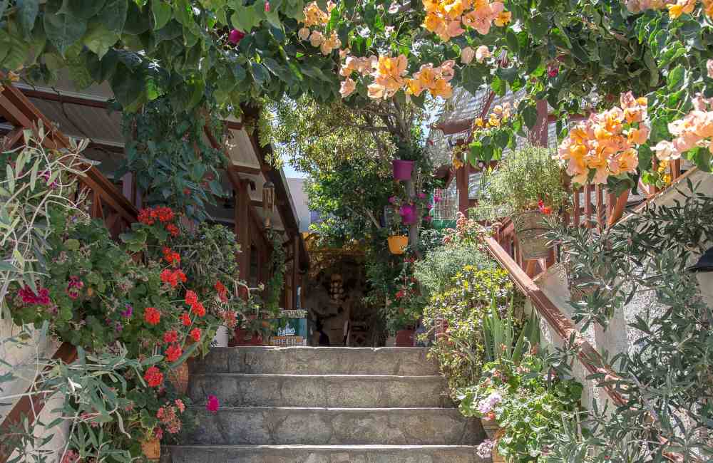 greek islands may
