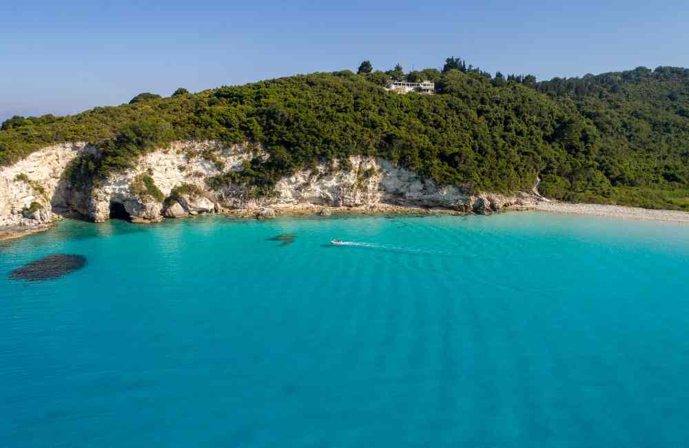 antipaxos with kids