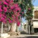 One day in Antiparos