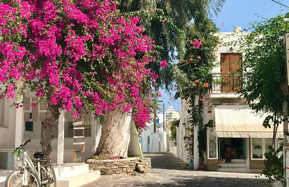 One day in Antiparos
